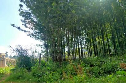 Residential Eighth Acre Plot in Kikuyu, Ondiri Near Tarmac