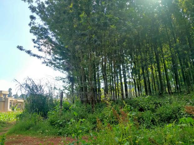 Residential Eighth Acre Plot in Kikuyu, Ondiri Near Tarmac