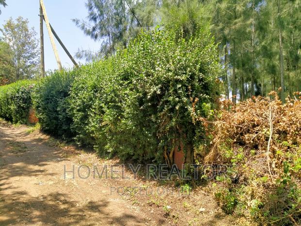 Eighth Acre Plot In Kiserian, Kaurai. Large With Trees
