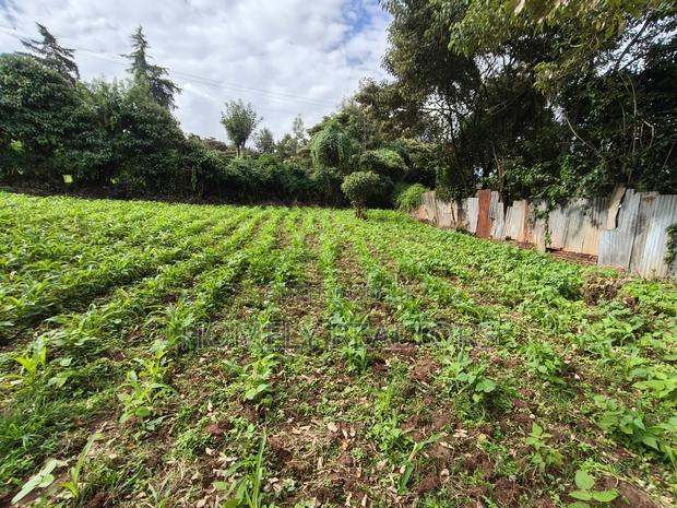 Quarter Acreplot in Kerarapon Drive, Ngong. Fertile Red Soil