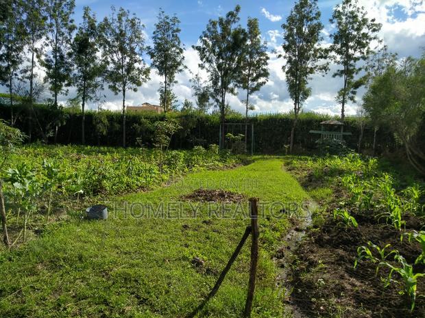Quarter Acre in Kandisi Few Meters From Rimpa Road Tarmac