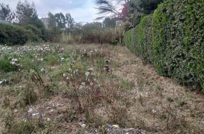 Commercial Quarter Acre in Ongata Rongai Nkoroi Near Tarmac