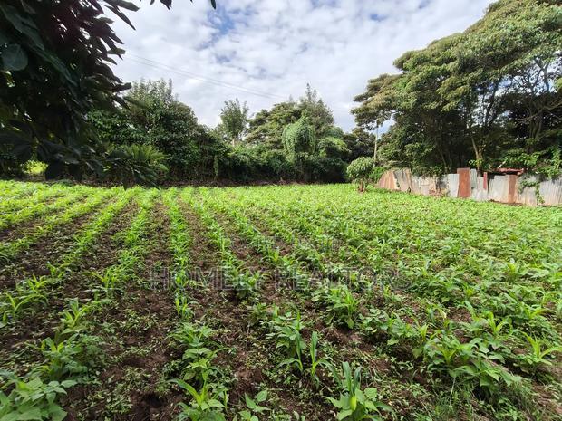 Quarter Acreplot in Kerarapon Drive, Ngong. Fertile Red Soil
