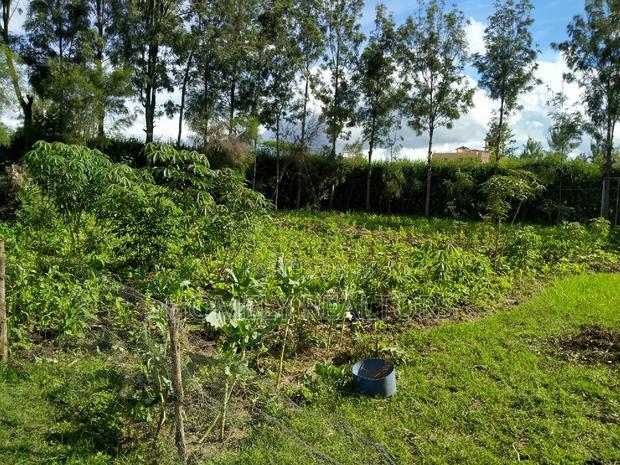 Quarter Acre in Kandisi Few Meters From Rimpa Road Tarmac