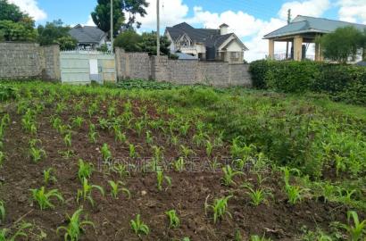 Quarter Acre Plot in Ongata Rongai Nkoroi Has Perimeter Wall