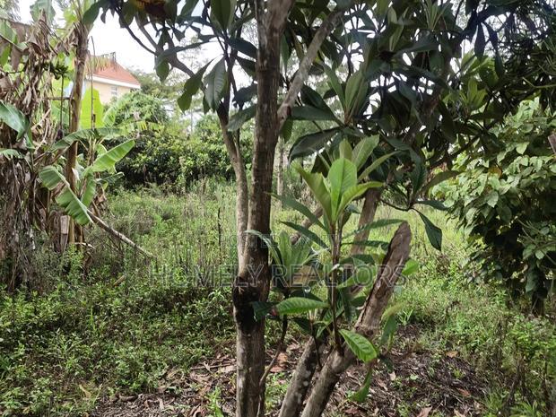 Eighth Acre Plot in Ngong at Merisho Matasia Near the Tarmac