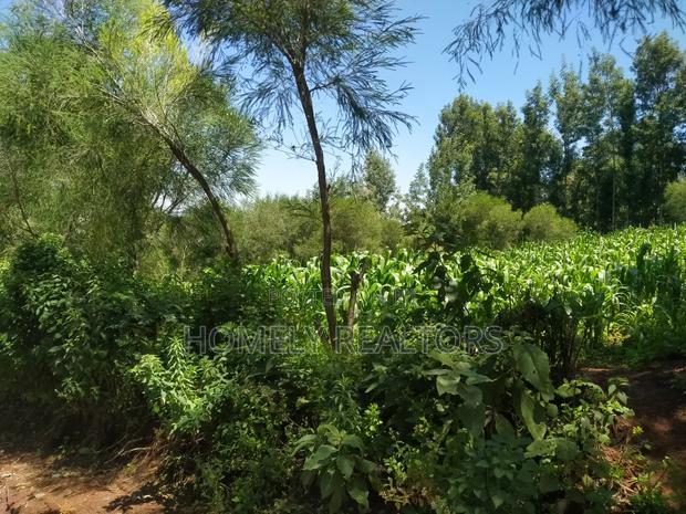 Quarter Acre Plot in Ngong Along Lemiso Road Near Tarmac