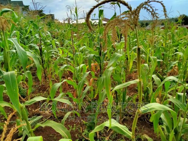 Residential Quarter Acre Plot in Ngong, Maragara. Red Soil