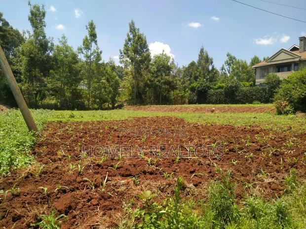 Residential Quarter Acre Red Soil Plot in Kerarapon, Ngong