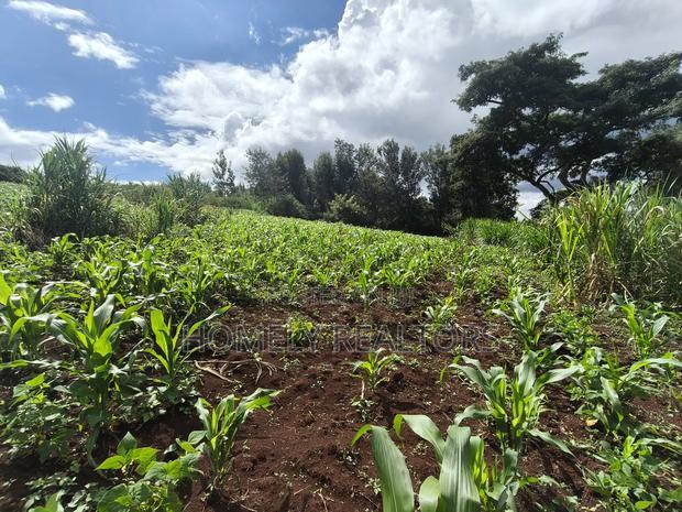 Residential Quarter Acre Plot in Ngong, Matasia Near Silanga
