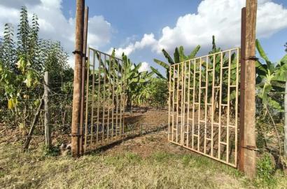 Residential Quarter Acre Plot in Kerarapon Drive, Ngong. Red Soil.