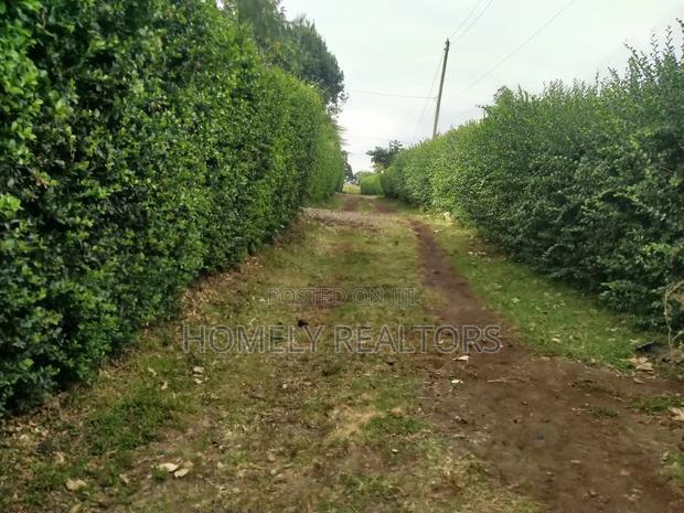 Eighth Acre Corner Plot for Sale in Ngong, Bondeni Red Soil