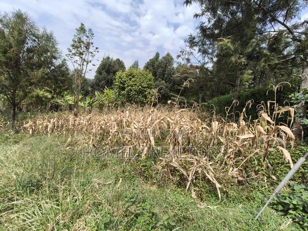 Residential Eighth Acre Plot in Ngong, Memusi. Red Soil Near Iat SCH