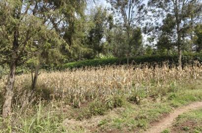 Residential Eighth Acre Plot in Ngong, Memusi. Red Soil Near Iat SCH