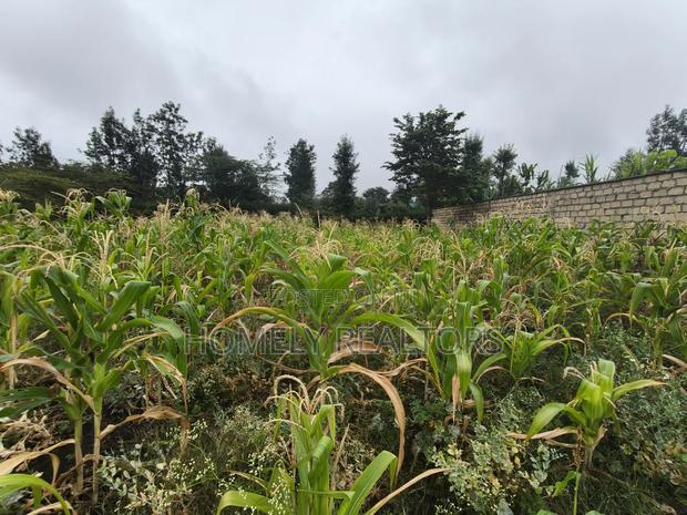 Eighth Acre Plot in Rimpa, Ongata Rongai in a Gated Estate