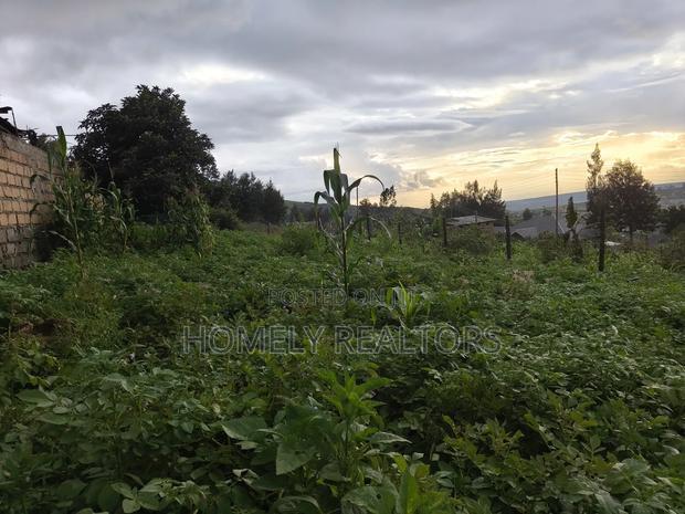 Eighth Acre Plot in Ngong Along Maragara 3rd Row From Tarmac