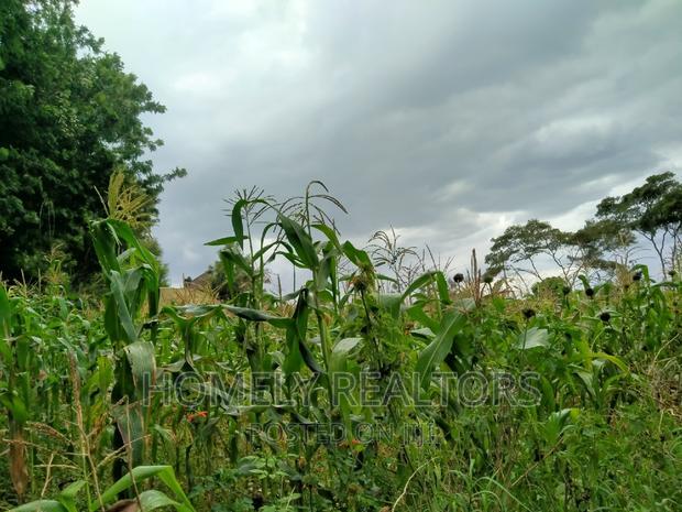 Half-Acre Plot in Ngong, Along Lemiso Rd Touching Tarmac