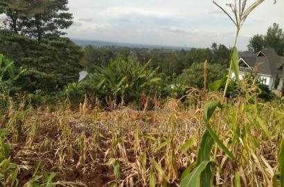 Quarter Acre Red Soil Plot for Sale in Bondeni, Ngong