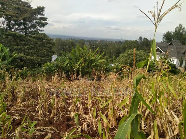 Quarter Acre Red Soil Plot for Sale in Bondeni, Ngong