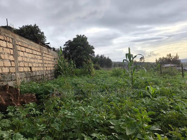 Eighth Acre Plot in Ngong Along Maragara 3rd Row From Tarmac
