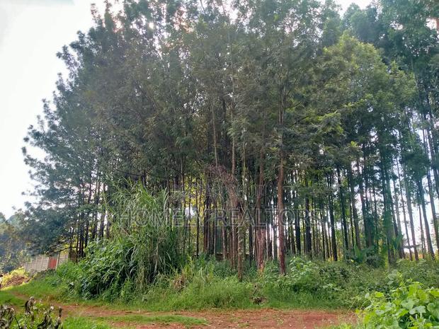 Residential Eighth Acre Plot in Kikuyu, Ondiri Near Tarmac