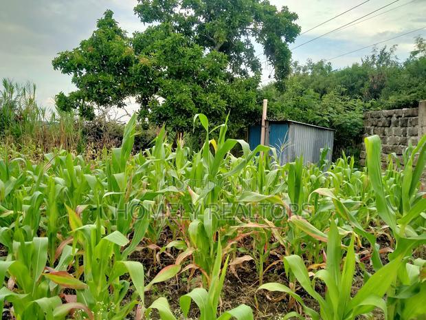 Residential Eighth Acre Plot in Ongata Rongai, Kandisi