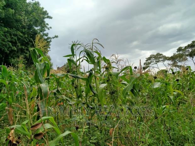 Half-Acre Plot in Ngong, Along Lemiso Rd Touching Tarmac