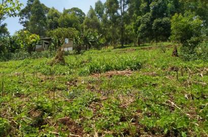 Quarter Acre Plot in Bondeni, Ngong Along Masai Rd. Red Soil