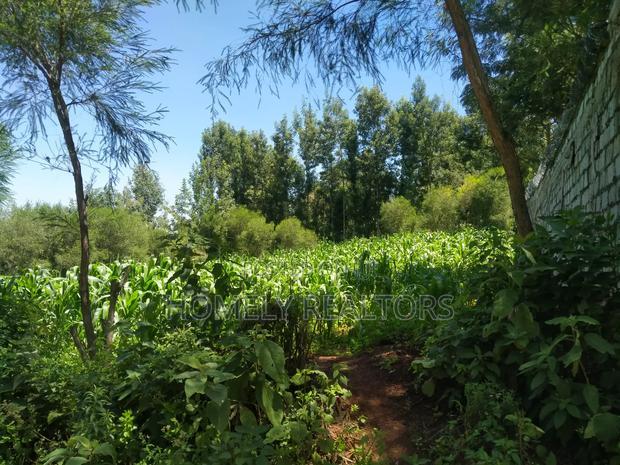 Quarter Acre Plot in Ngong Along Lemiso Road Near Tarmac