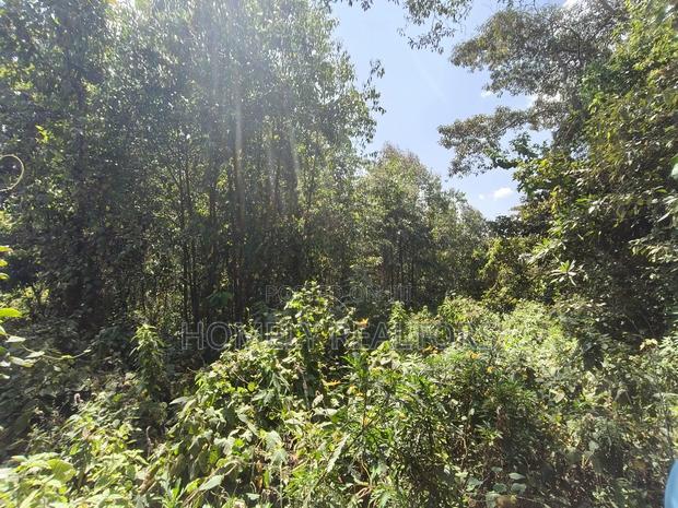 2.3 Acres of Land on Sale in Ngong Kahara. Has Trees Touches Main Road