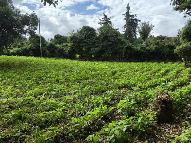 Quarter Acreplot in Kerarapon Drive, Ngong. Fertile Red Soil