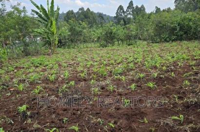Residential Quarter Acre Plot in Kahara Rd, Ngong. Red Soil