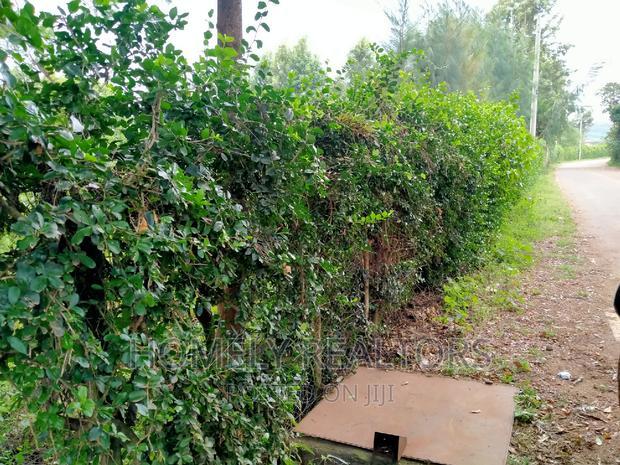 Quarter Acre Plot in Ngong Along Maragara Rd Touching Tarmac