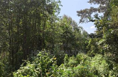 2.3 Acres of Land on Sale in Ngong Kahara. Has Trees Touches Main Road