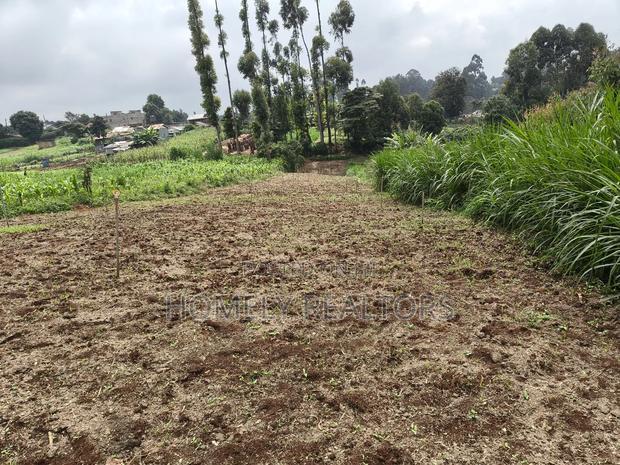 Quarter Acre Plot in Zambezi With Farming Water Connected