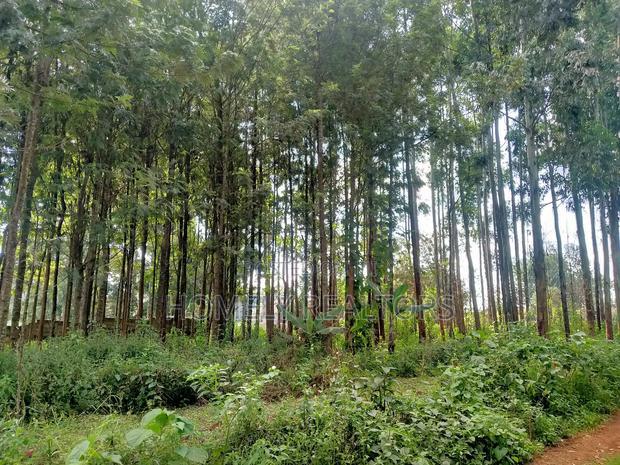 Residential Eighth Acre Plot in Kikuyu, Ondiri Near Tarmac