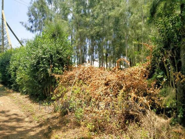 Eighth Acre Plot In Kiserian, Kaurai. Large With Trees
