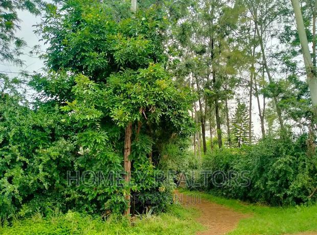 An Acre for Sale in Nkoroi, Ongata Rongai Near Tarmac.