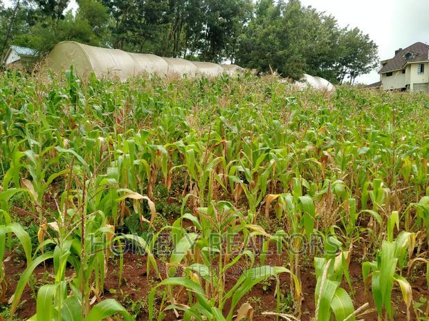 Half-Acre Plot in Ngong, Along Lemiso Rd Touching Tarmac