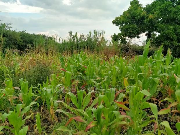 Residential Eighth Acre Plot in Ongata Rongai, Kandisi