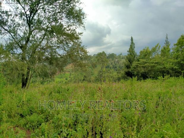 Eighth-Acre (50*100) Plots in Ngong Along Maragara Rd Tarmac