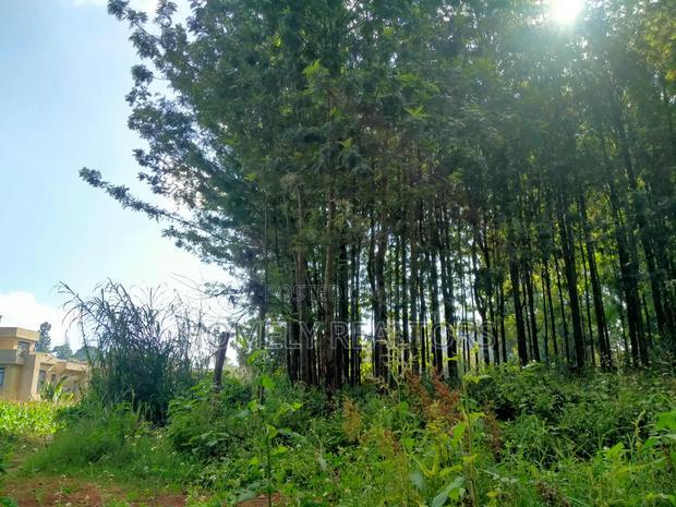 Residential Eighth Acre Plot in Kikuyu, Ondiri Near Tarmac