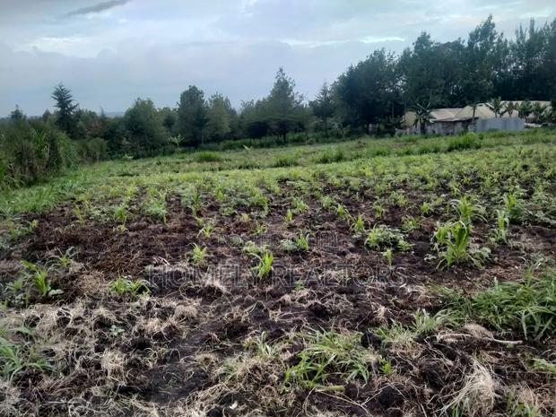 One Acre Piece of Land in Ngong Matasia, Merisho Road Tarmac