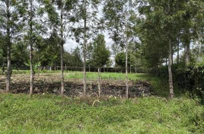 Leafy Quarter Acre Plot in Ngong, Matasia Along Oloika Road