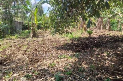 50*100 Plot on Sale in Ngong, Memusi. Has Good Neighborhood