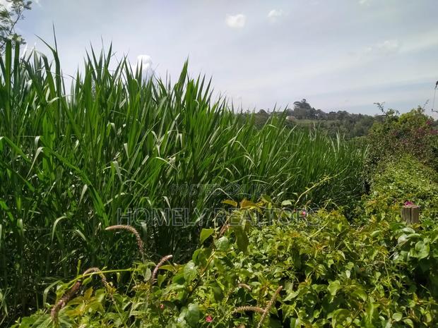 Quarter Acre Red Soil Plot in Ngong, Bondeni. Ready to Build