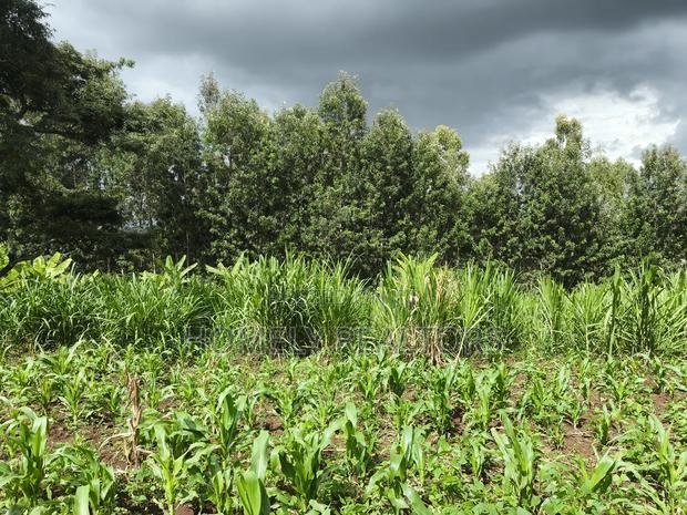 Residential Quarter Acre Plot in Ngong, Matasia Near Silanga