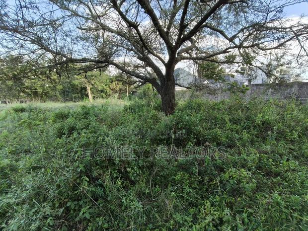 Eighth Acre Plot in Rimpa, Ongata Rongai Near the Tarmac