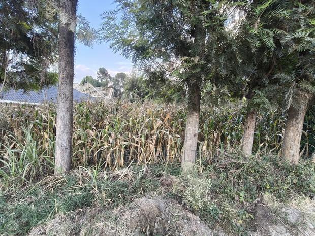 Prime Residential Eighth Acre Plot on Sale in Ngong Olkeri Near Tarmac