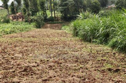 Quarter Acre Plot in Zambezi With Farming Water Connected